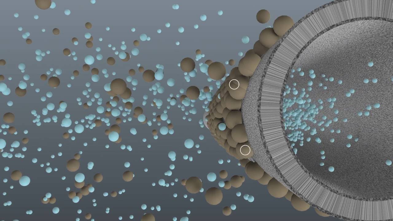 Hollow Fiber Modules: This is how AQUADYN® works