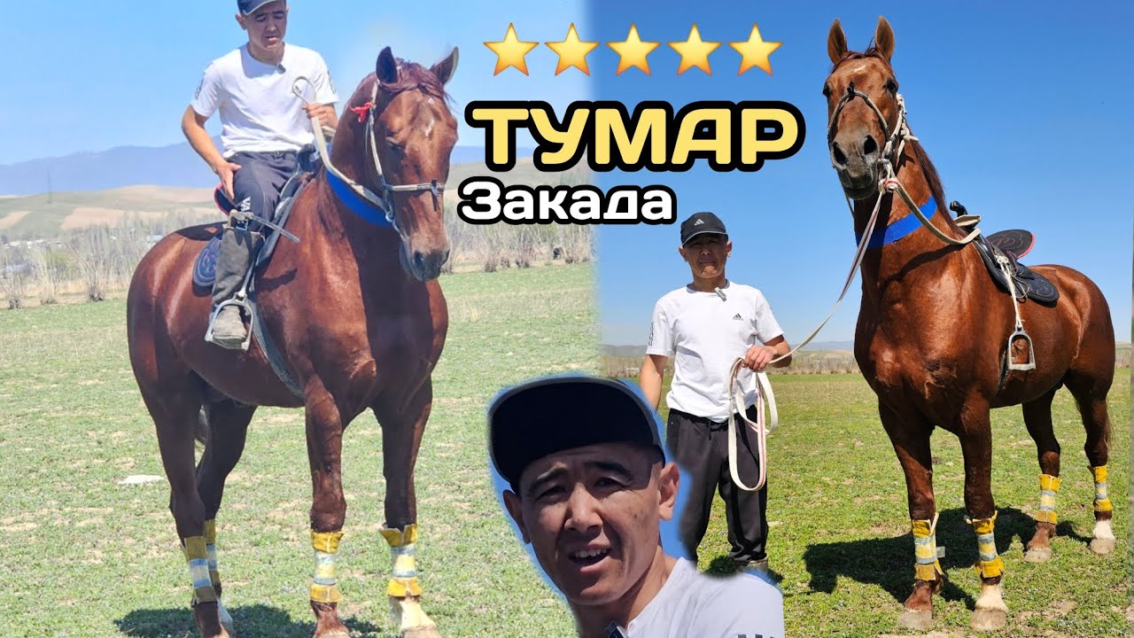 МЫНДАЙ АТ  КЫРГЫЗСТАНДА САНАЛУУ ЭЛЕ ДЕЙТ ЗАКА