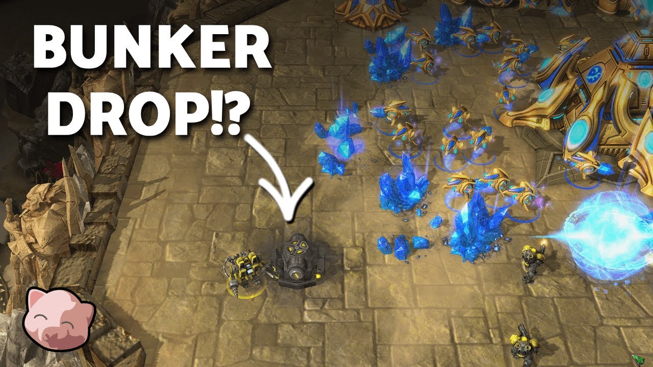 HILARIOUS New Terran build order
