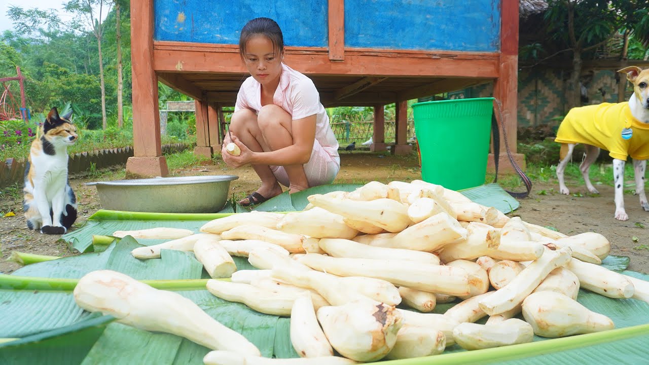 How To Make Wine From Cassava, Cook Primitive Wine - Off Grid Farm | Thi Chien Building Farm