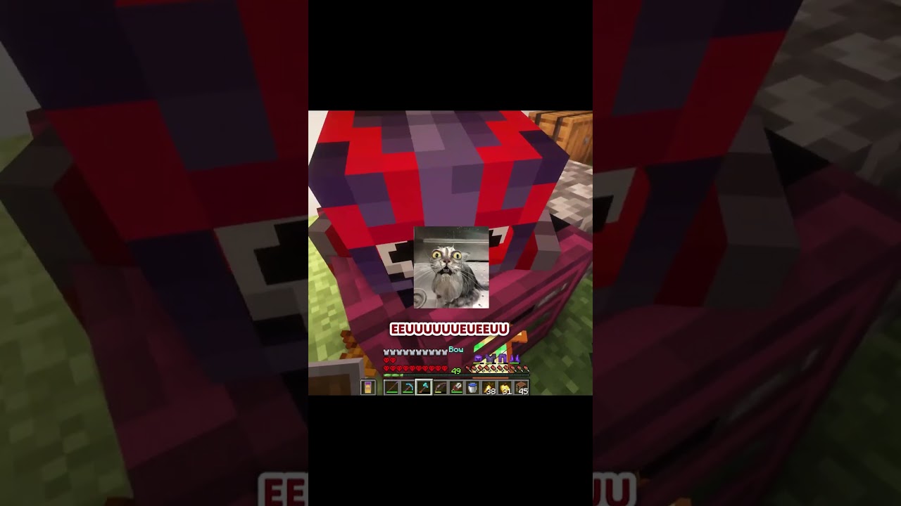 Спасение клоуна в Realm SMP &mdash; хорошо ли я справился? c:
