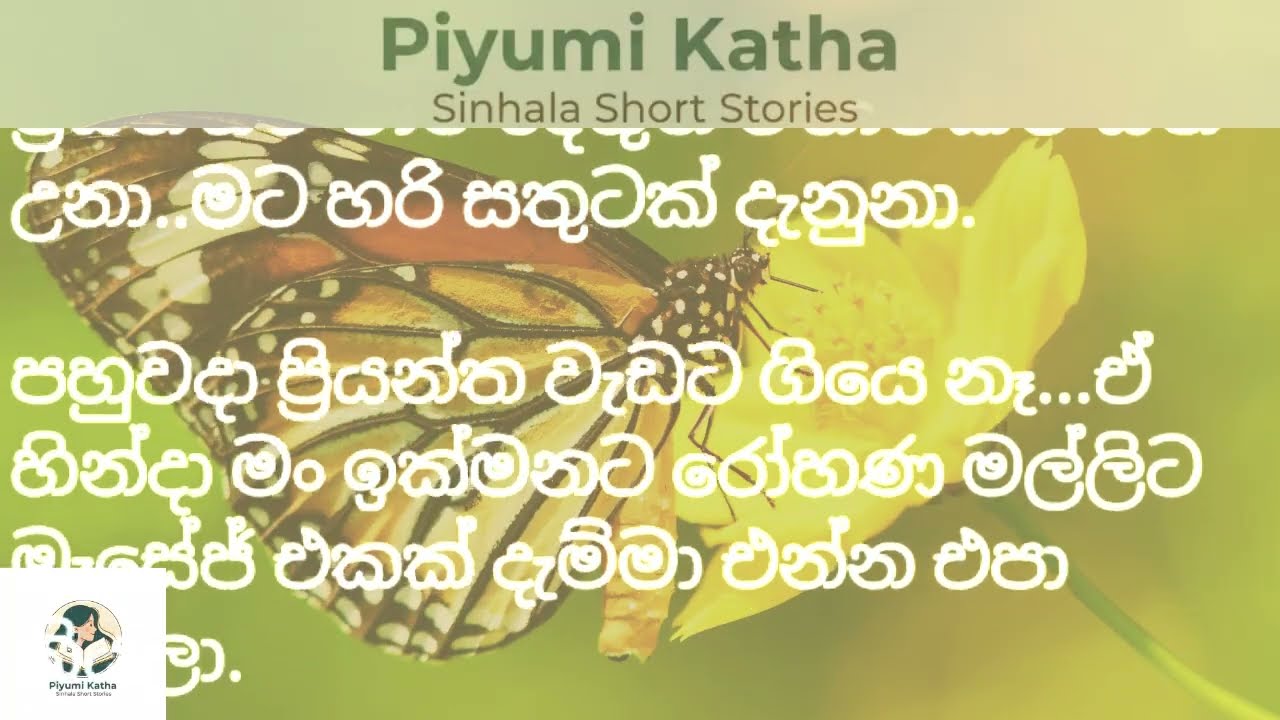 නැන්දම්මා ලේලි ආප්ප සෙල්ලම | #ketikatha #newkatha #sinhalaketikatha #sinhalastory #sinhalakatha