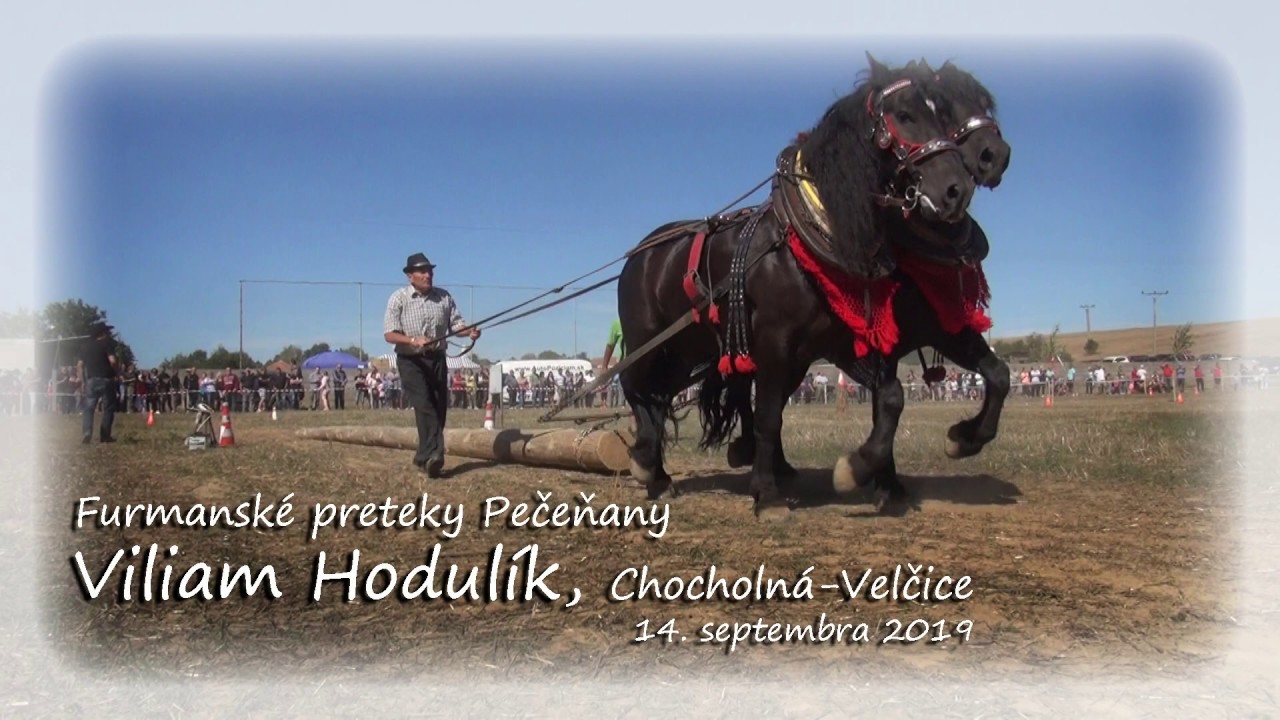 Viliam Hodulík, Chocholná Velčice