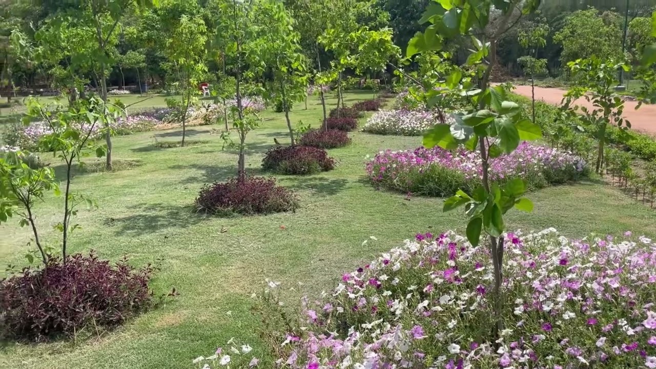DDA PARK  Dwarka #park #flowers #garden