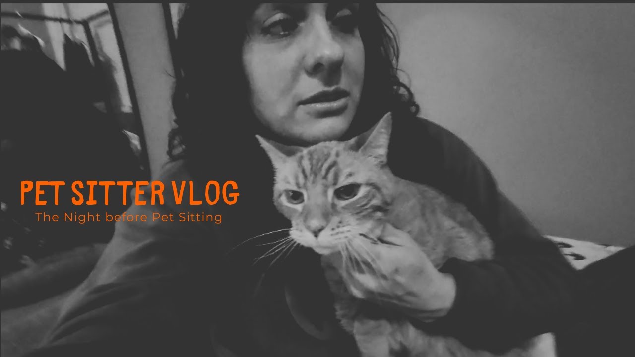 The Night before Pet Sitting — Packing, Karaoke, & Cats