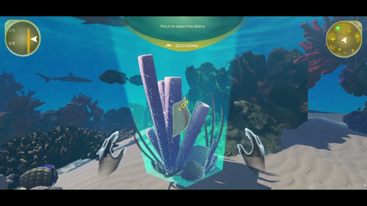 Coral XR