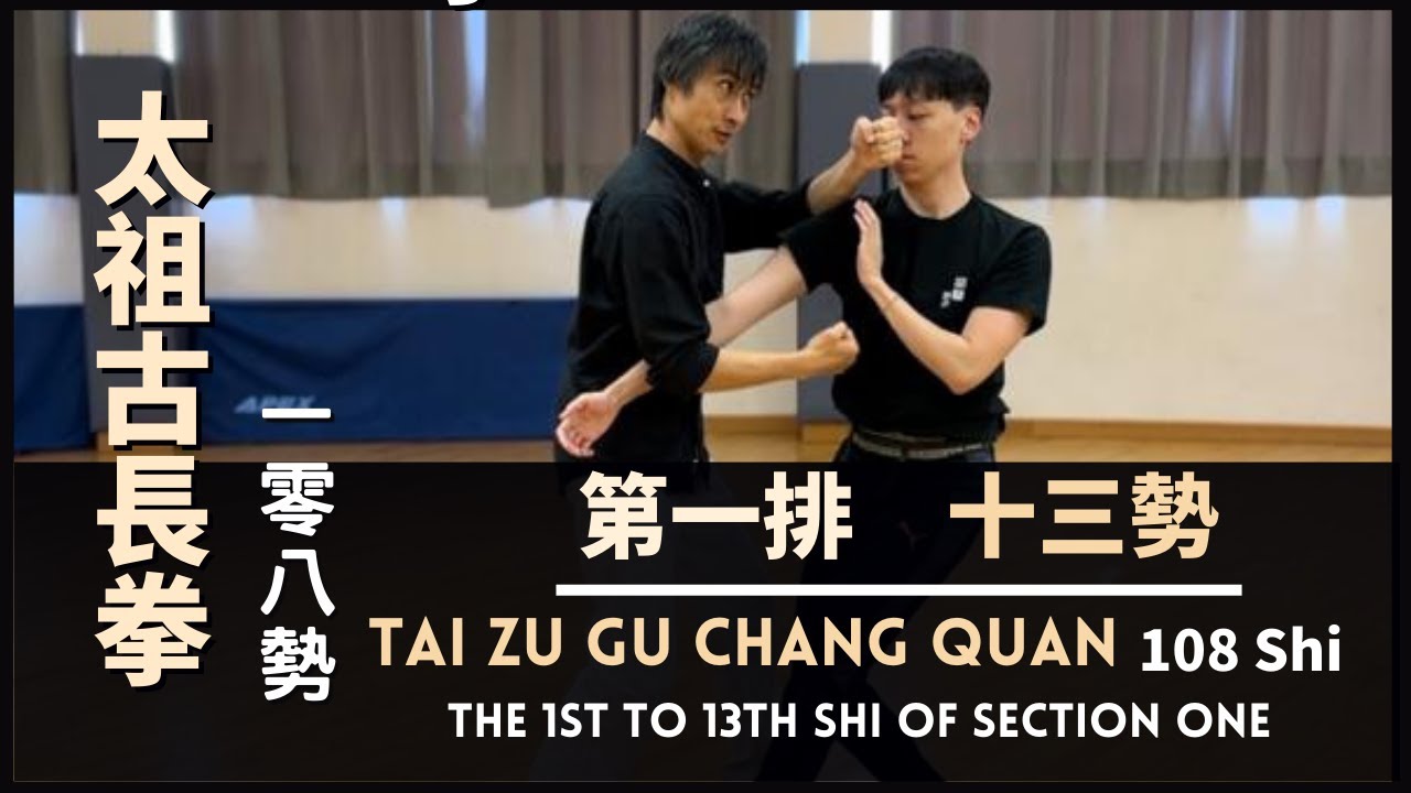 TaiZu Gu Chang Quan 108Shi - Section OneLong Fist & Chen Style Taiji 太祖古長拳108勢 - 第一排13勢 長拳及陳式太極