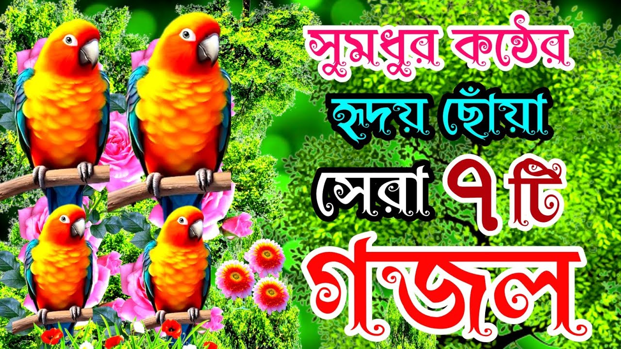 খুবই দুঃখের কলিজা ছিড়া সেরা ৭টি গজল |বাংলা বাছাইকৃত গজল |Selected Gojol | new gojol | gojol |gazal