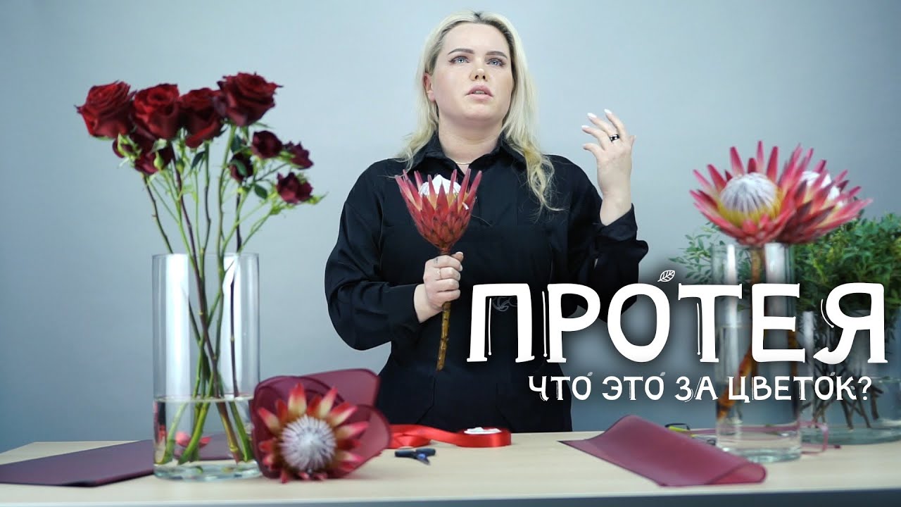 Букет из протеи: с чем можно сочетать экзотический цветок?