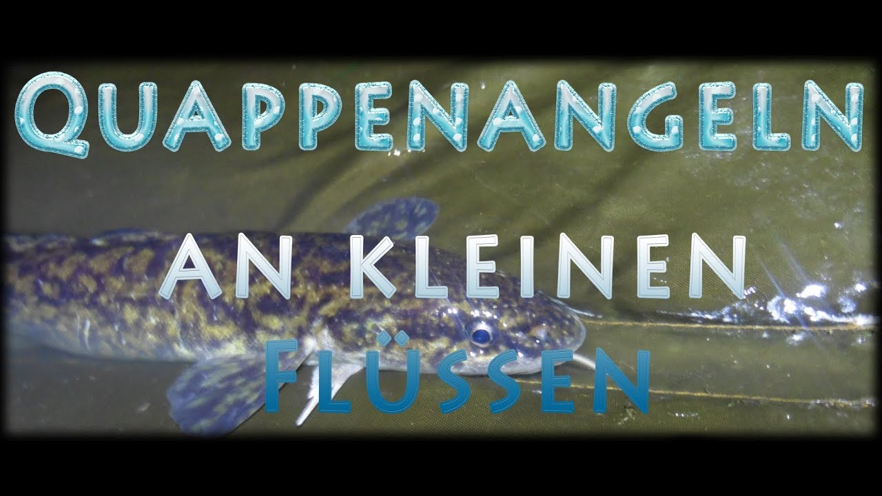 Quappenangeln an kleinen Flüssen