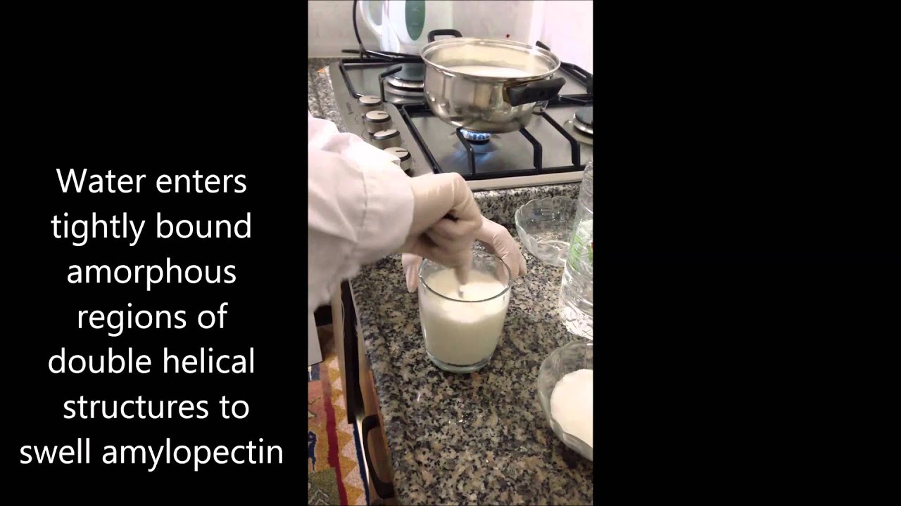 Starch Gelatinization