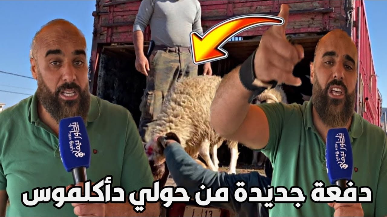 مراد بوثزكاث جاب دفعة جديدة من حولي دأكلموس.. ويفجرها 