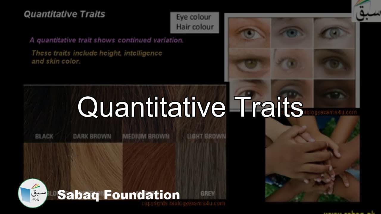 Quantitative Traits, Biology Lecture | Sabaq.pk