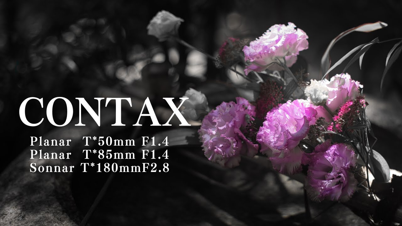【CONTAX Carl Zeiss】Planar T*50mm F1.4 / Planar T*85mm F1.4 / Sonnar T*180mm F2.8 | sample footage