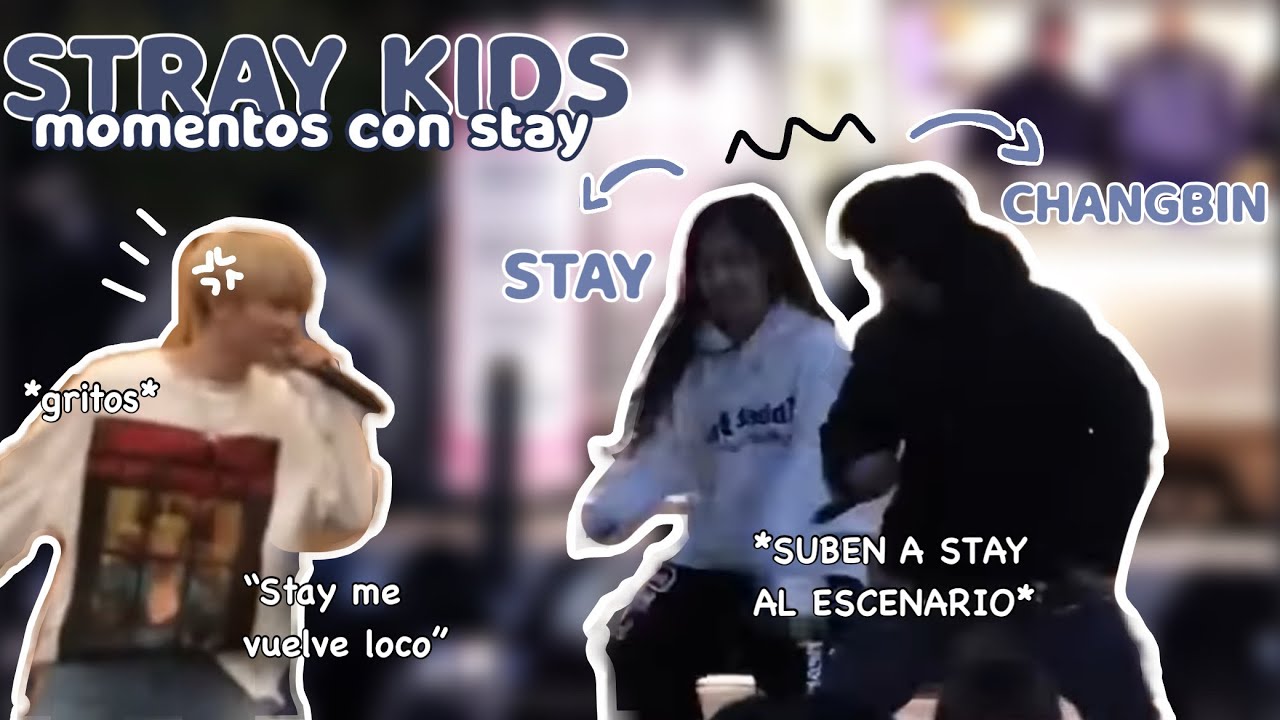 STRAY KIDS momentos divertidos con STAY