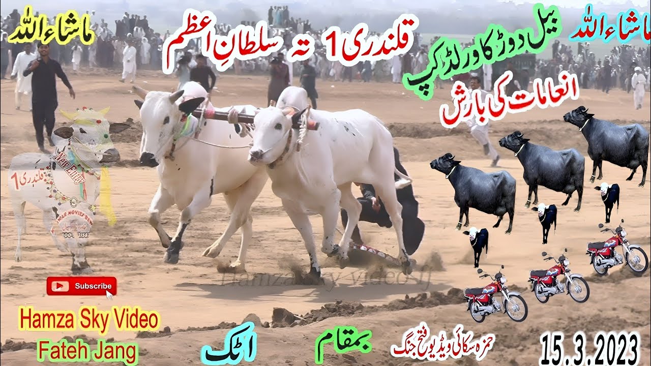 Bull Race Attock 15 3 2023