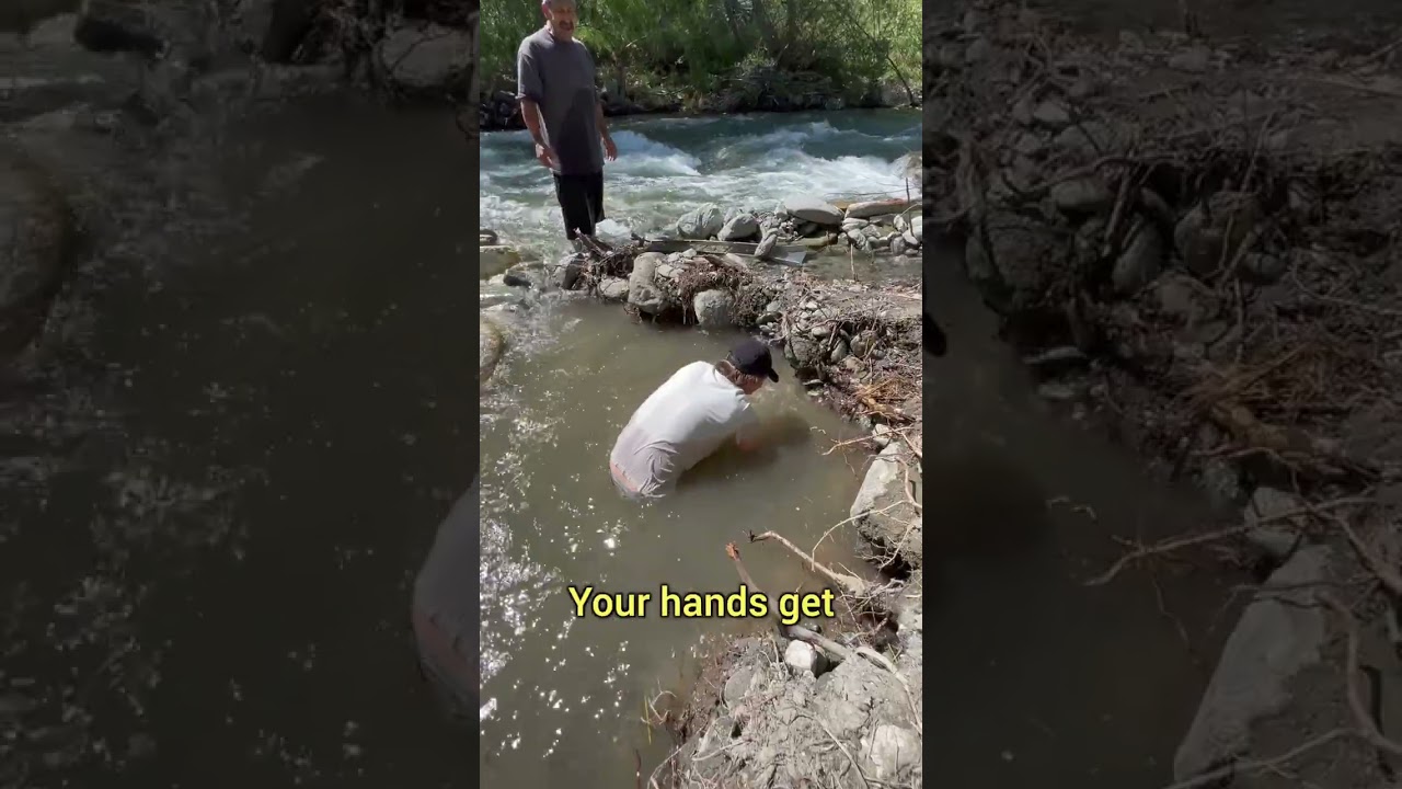 Using A Sluice Box To Find Gold
