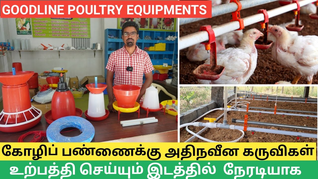 கோழி வளர்ப்புக்கு தேவையான 200++ நவீன கருவிகள் | LOW COST POULTRY EQUIPMENTS