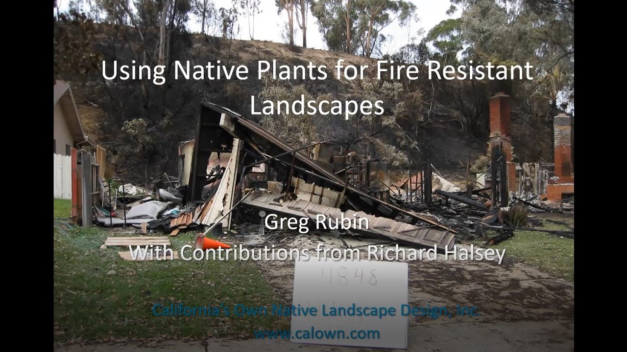 Using Native Plants for Fire Resistant Landscapes