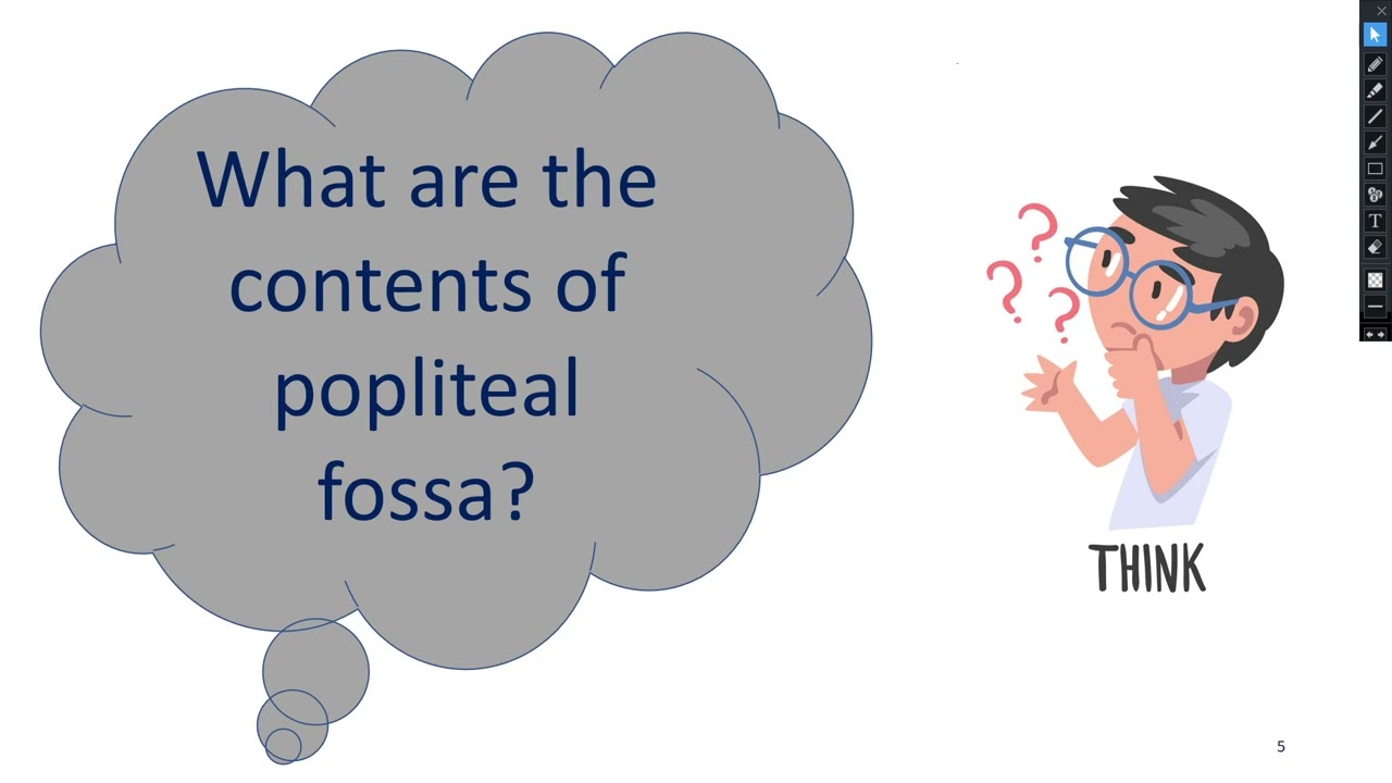 ANATOMY OF POPLITEAL FOSSA, POPLITEAL ARTERY AND POPLITEAL VEIN