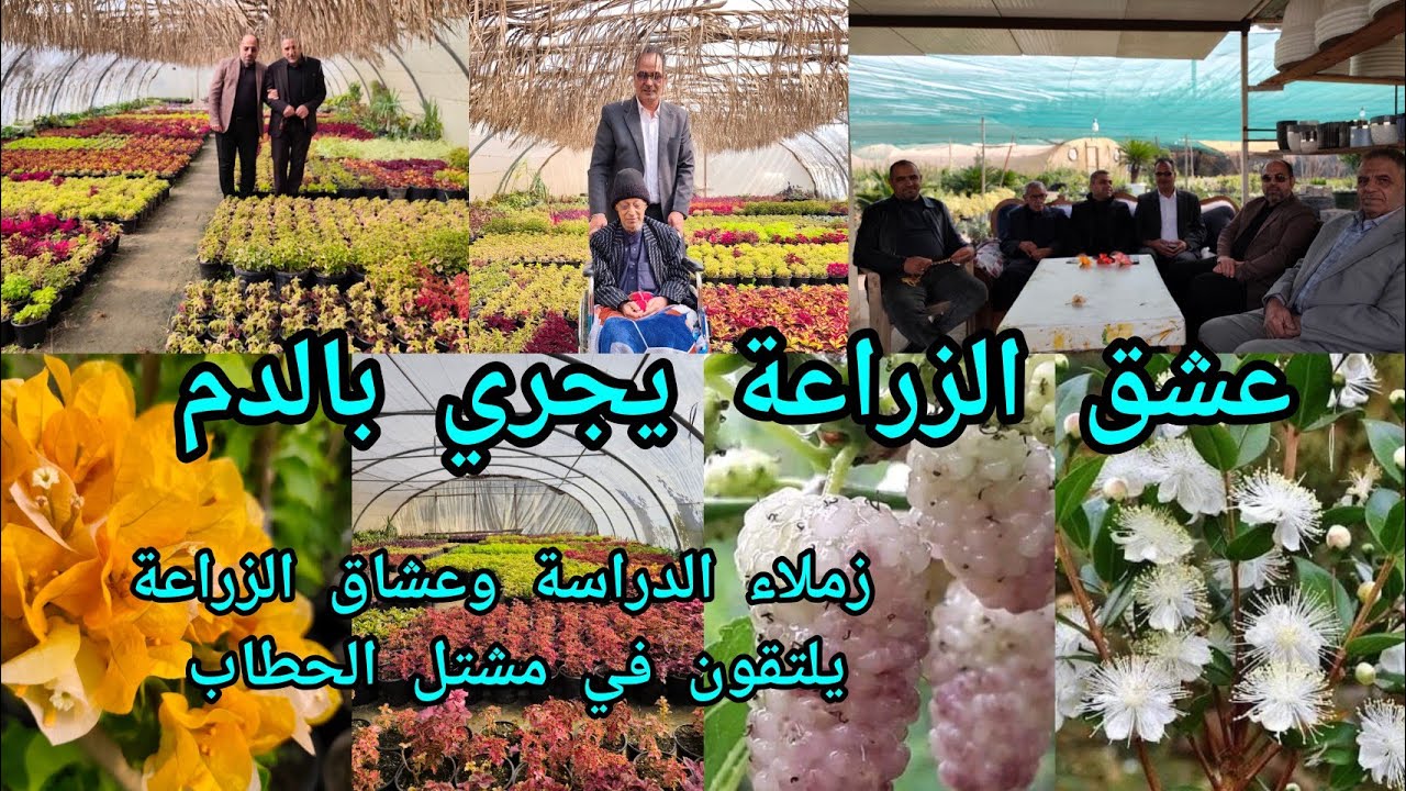 الزراعة عشق ابو محمد نموذج و لقاء زملاء الدراسة وعشاق الزراعة في مشتل الحطاب شاهدوا الجمال 