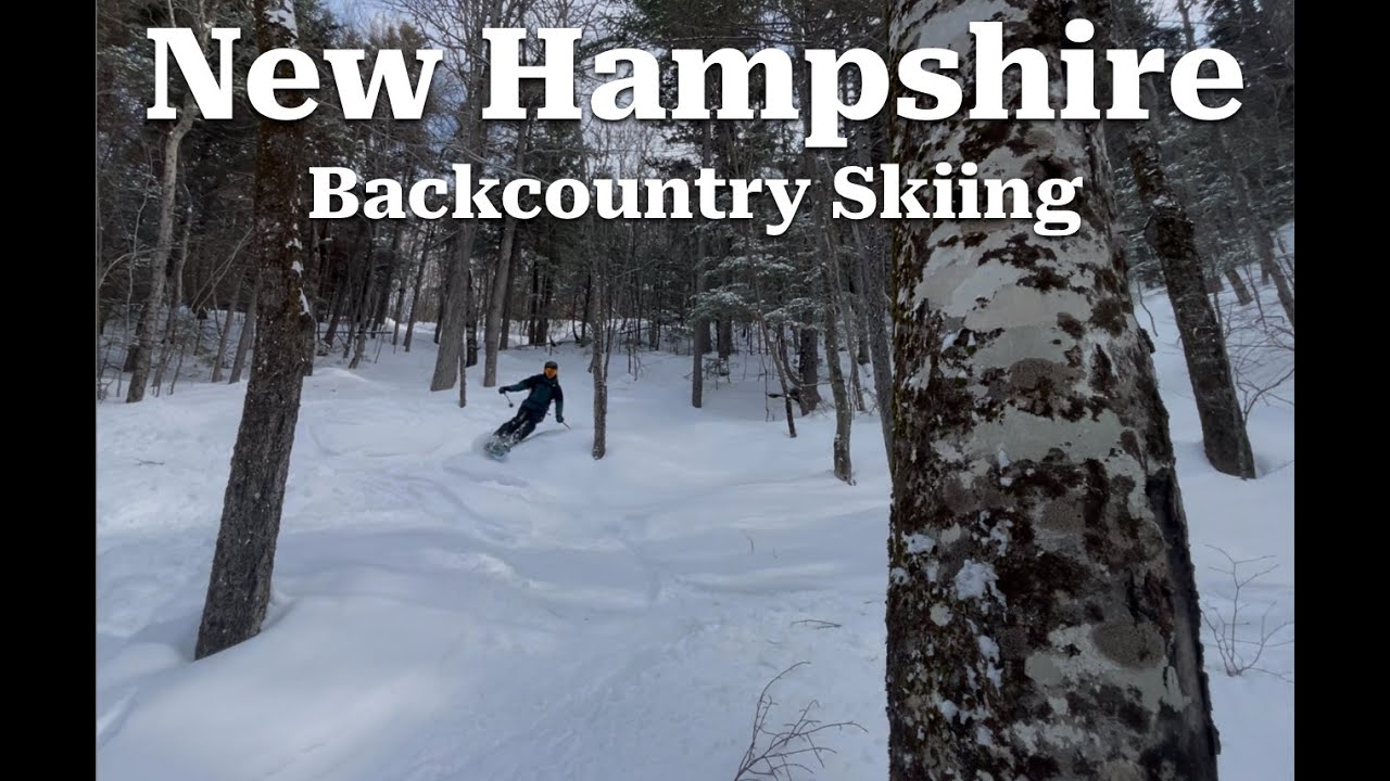Skiing Fun Backcountry Glade in New Hampshire