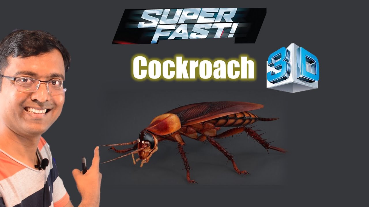Cockroach I NEET I Dr Kunal (KT)