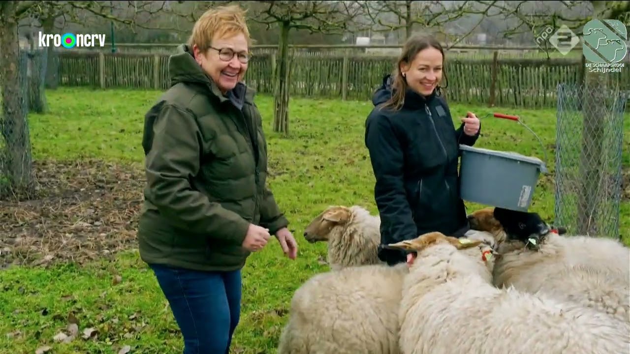 De Schaapskooi Schijndel - BinnensteBuiten