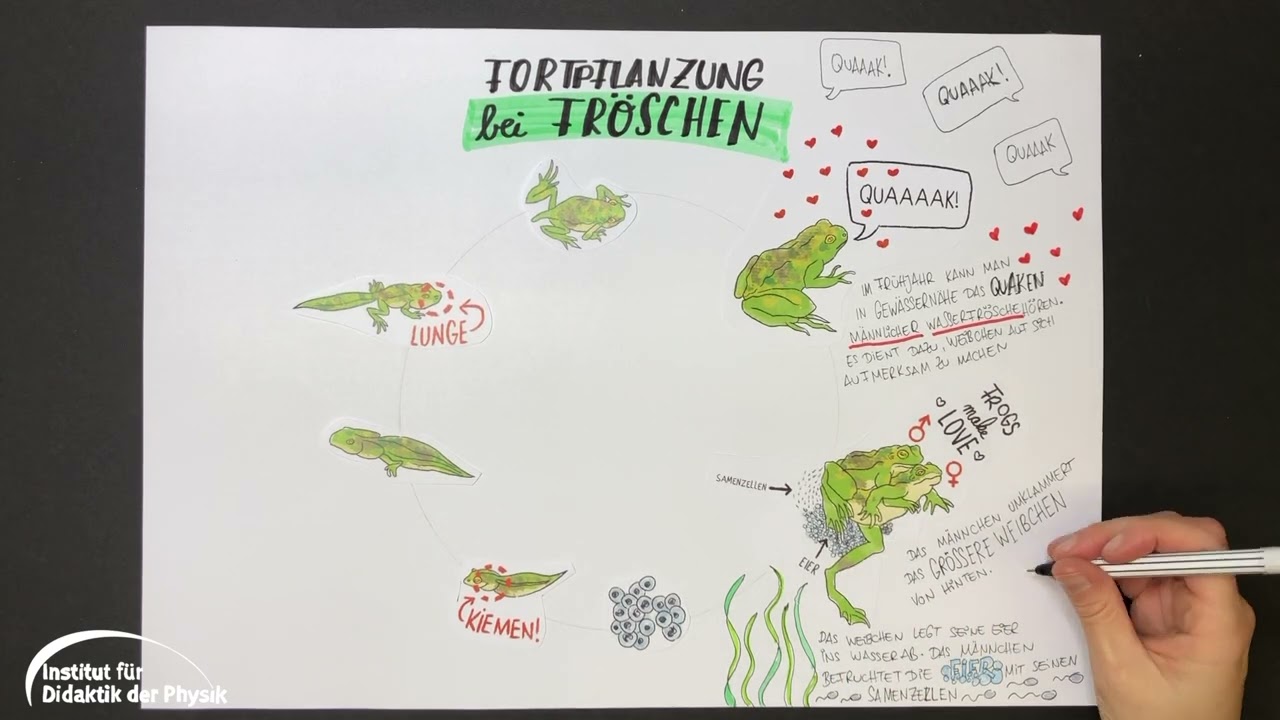 Kreative Lernmethoden - &Uuml;berblicksgrafik analog