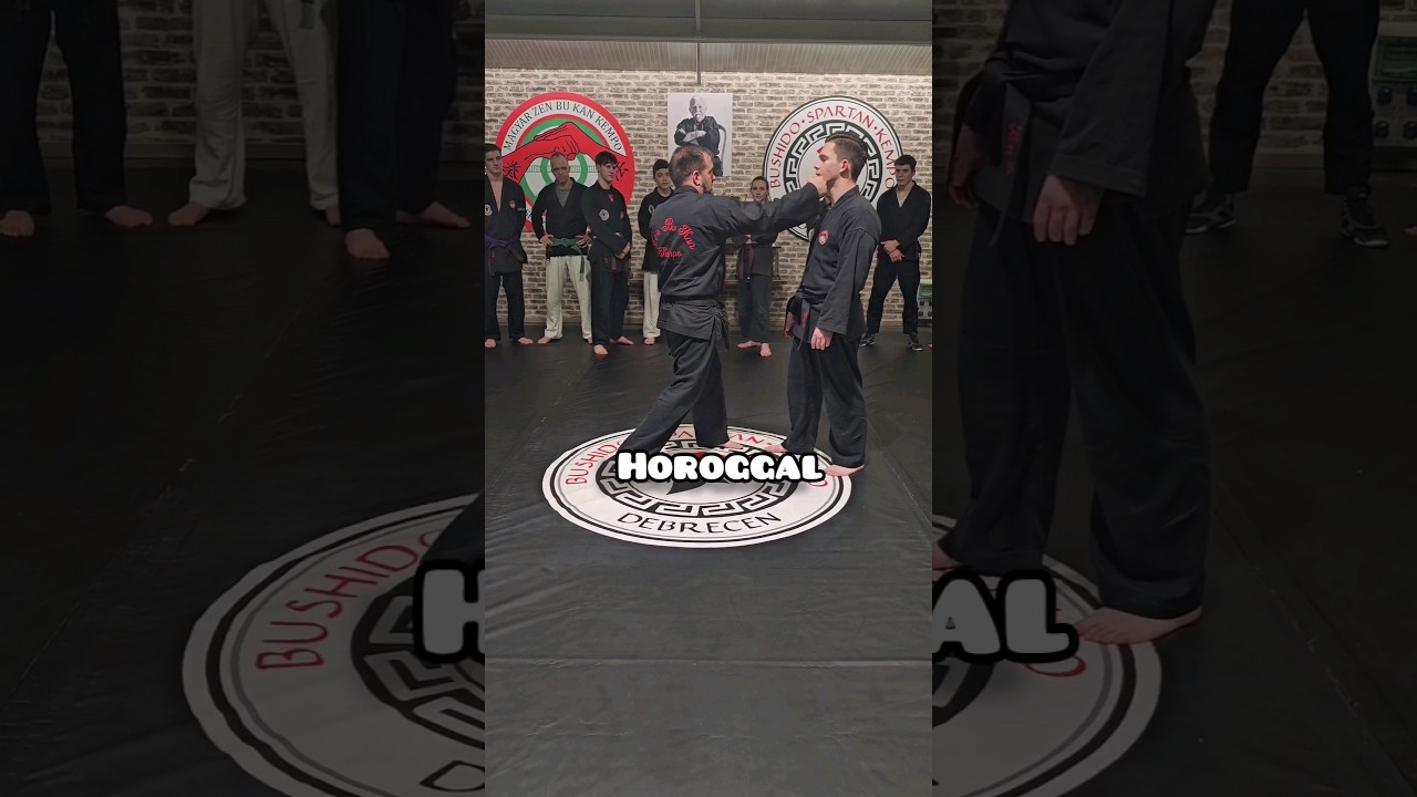 🥊 Ki&uuml;t&eacute;si pontok 🥊 #kempo #k&uuml;zdősport #harcműv&eacute;szet #debrecen