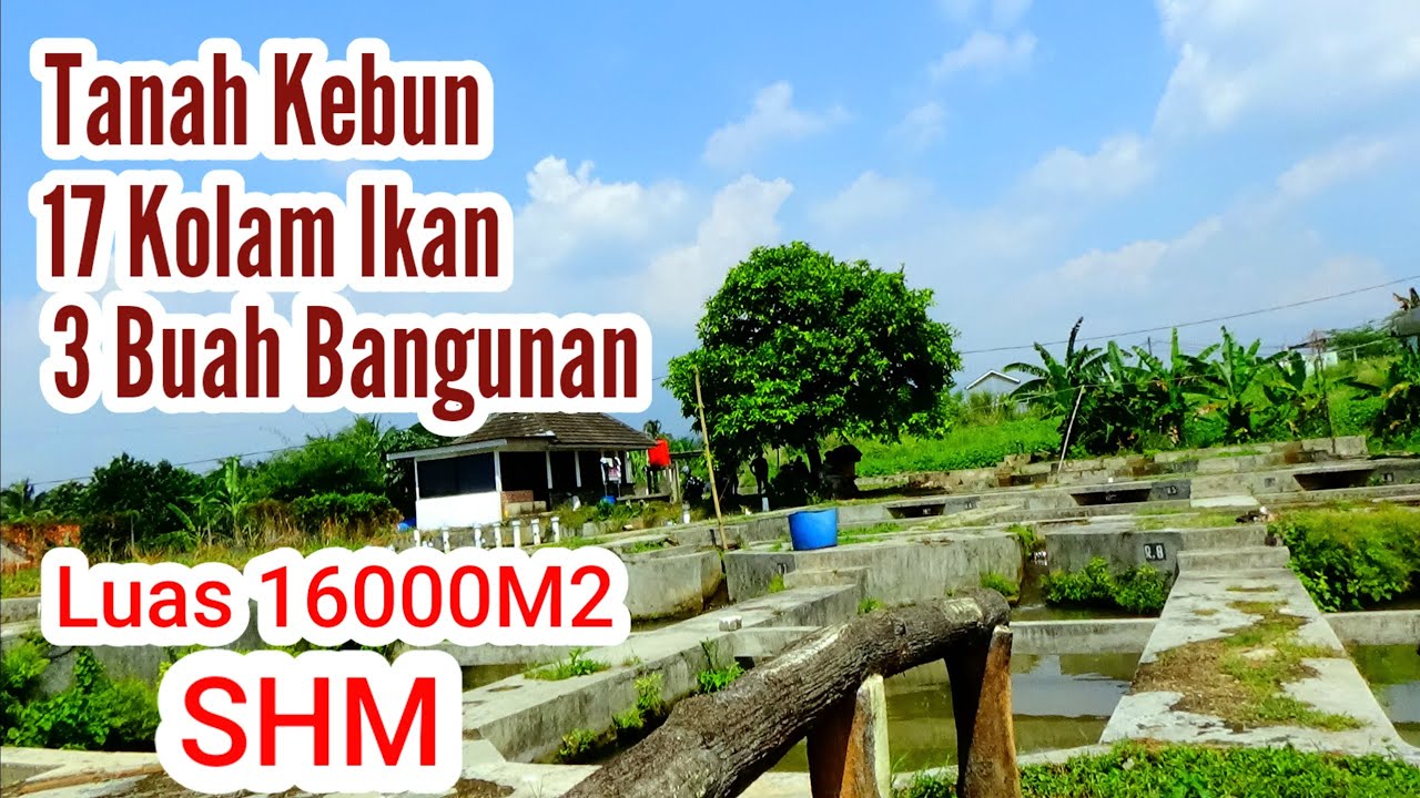 Di Jual Tanah Kebun Plus Kolam Ikan,Pinggir Jalan Raya Angkutan Umum