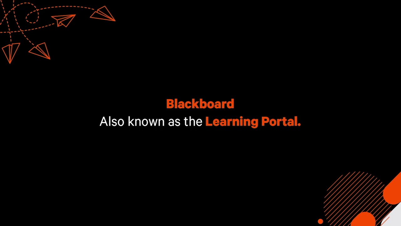 How to navigate Blackboard