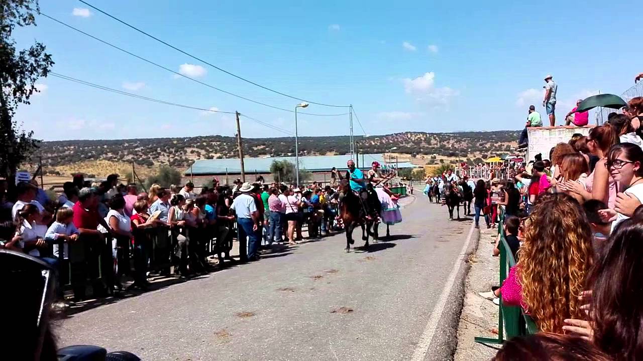 PIOSTROS 2015 (VI)