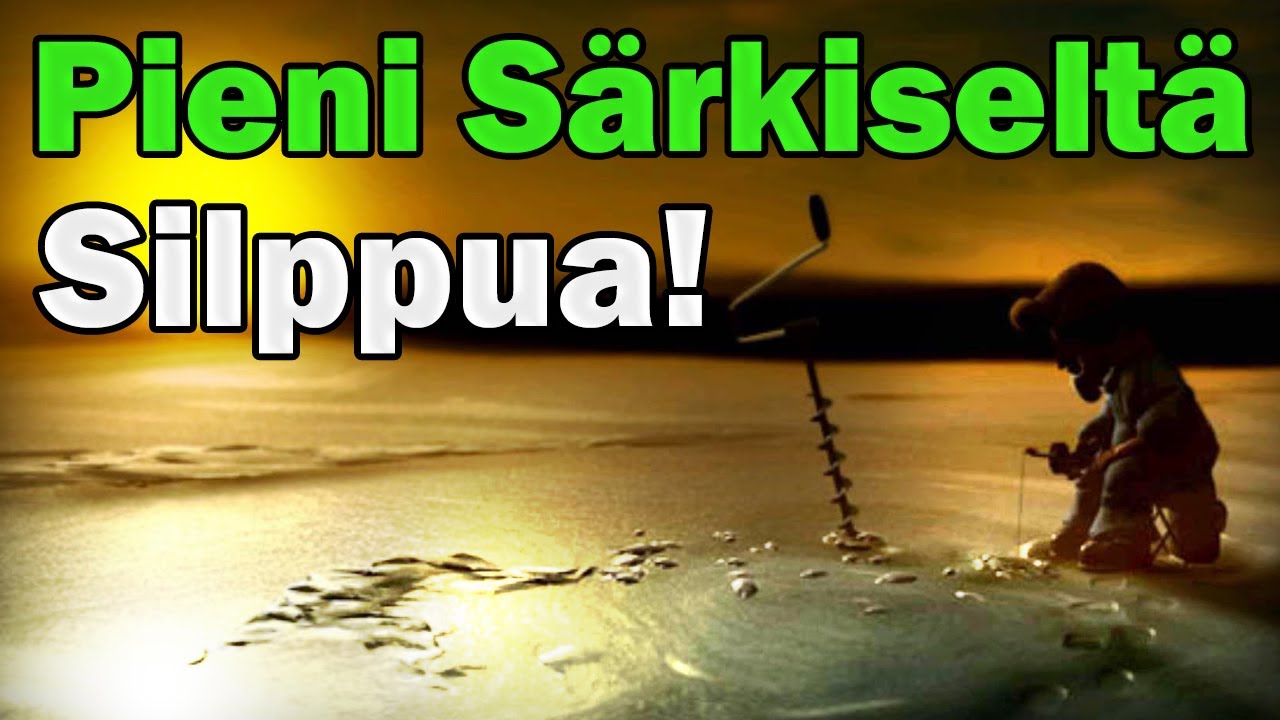 Pro Pilkki 2 | Pieni Särkiseltä Silppua!