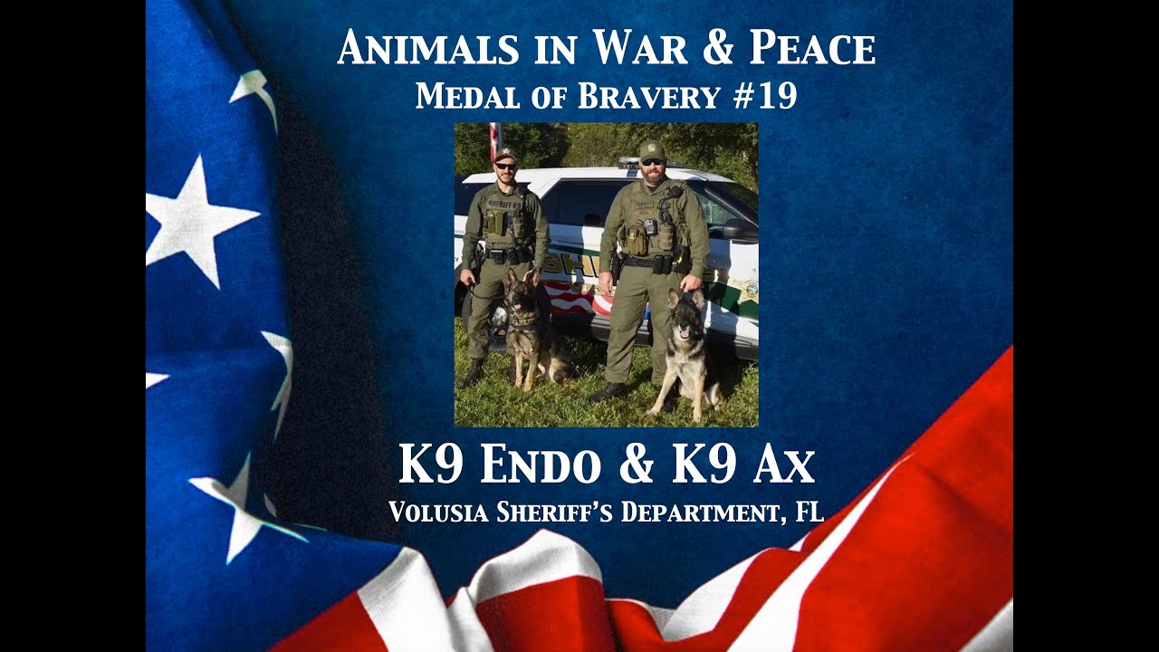 K9 Endo & K9 Ax - Animals in War & Peace Medal of Bravery #19 (2024)