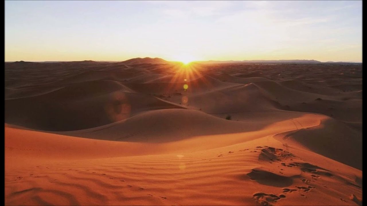 TripleHate Reads: A Desert Memory (Bertrand N.O. Walker)