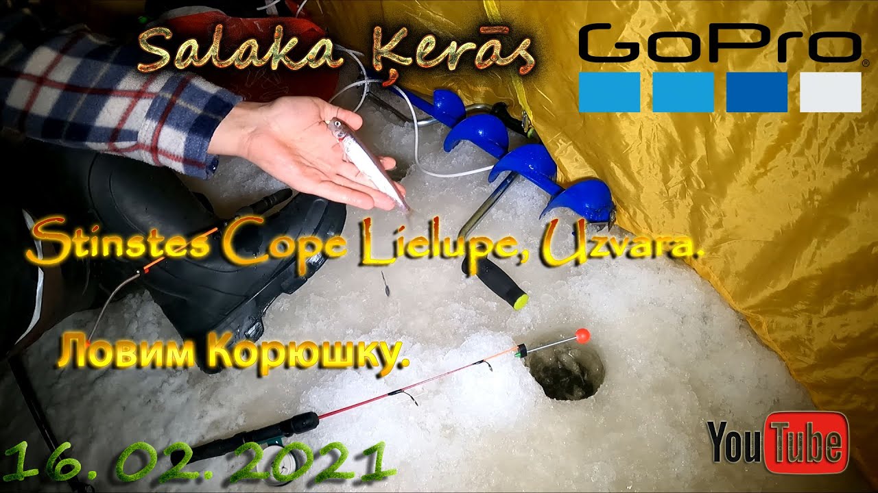 Salaku Cope Lielupē - (Jūrmala) Stinte.16.02.2021.