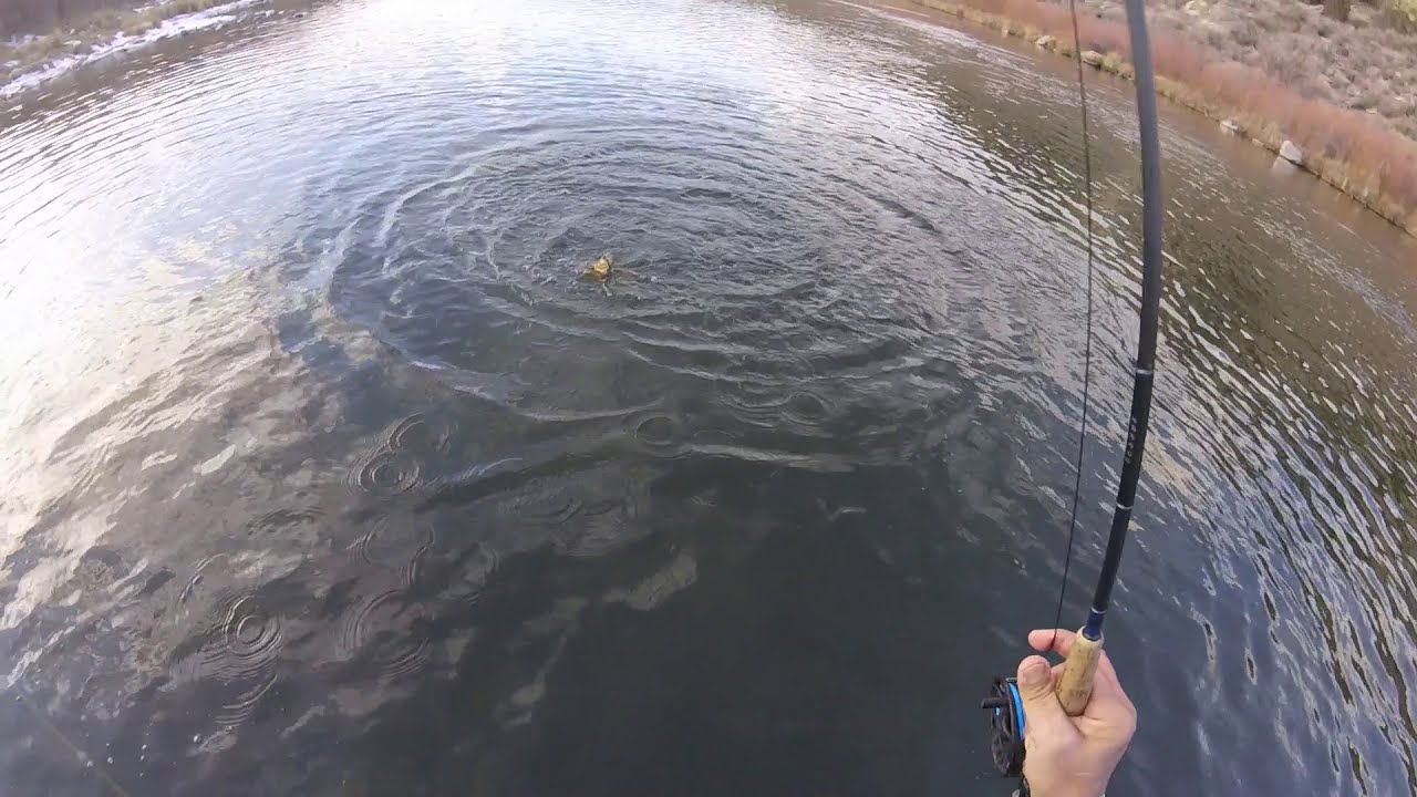 Amazon sink tip fly line test San Juan River part two