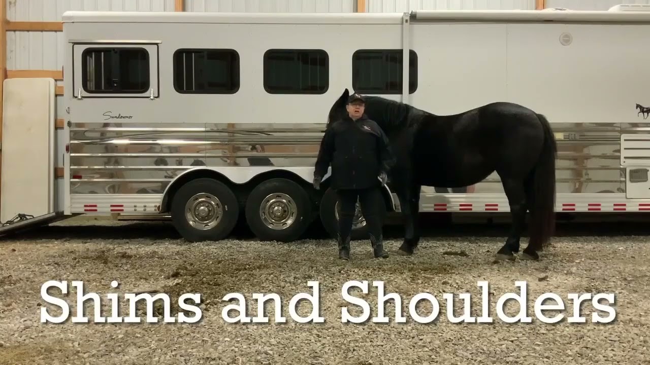 Checking Saddle Fit - Part 4 - Shims