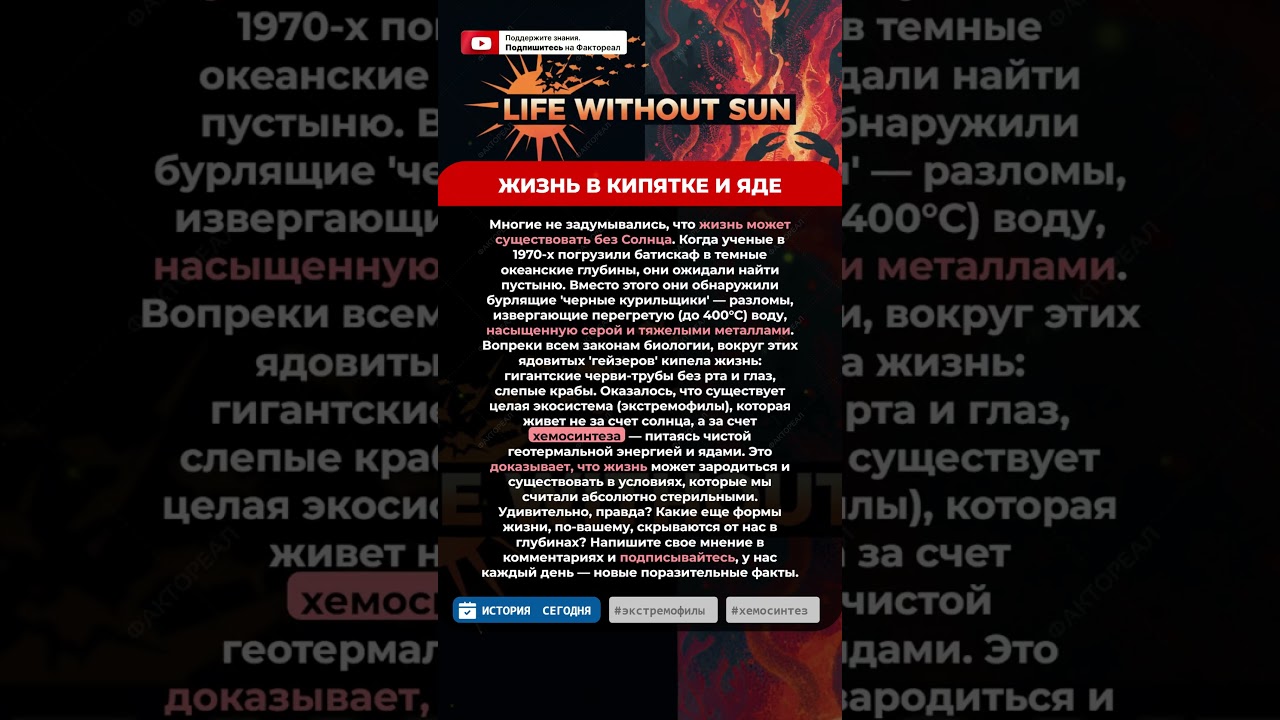 🌊 ЖИЗНЬ В КИПЯТКЕ И ЯДЕ #факты #история #интересно #фактореал #shorts #новости