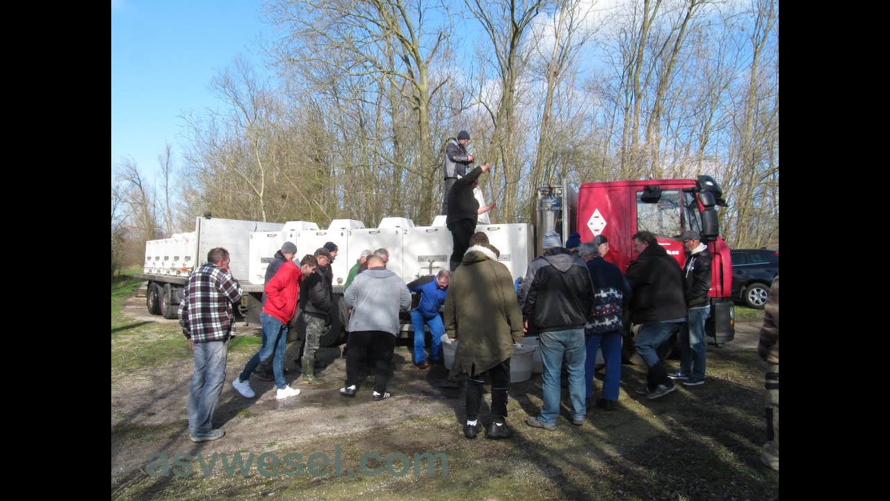 Fischbesatz des ASV Wesel e.V. am Auesee vom 7.03.2020