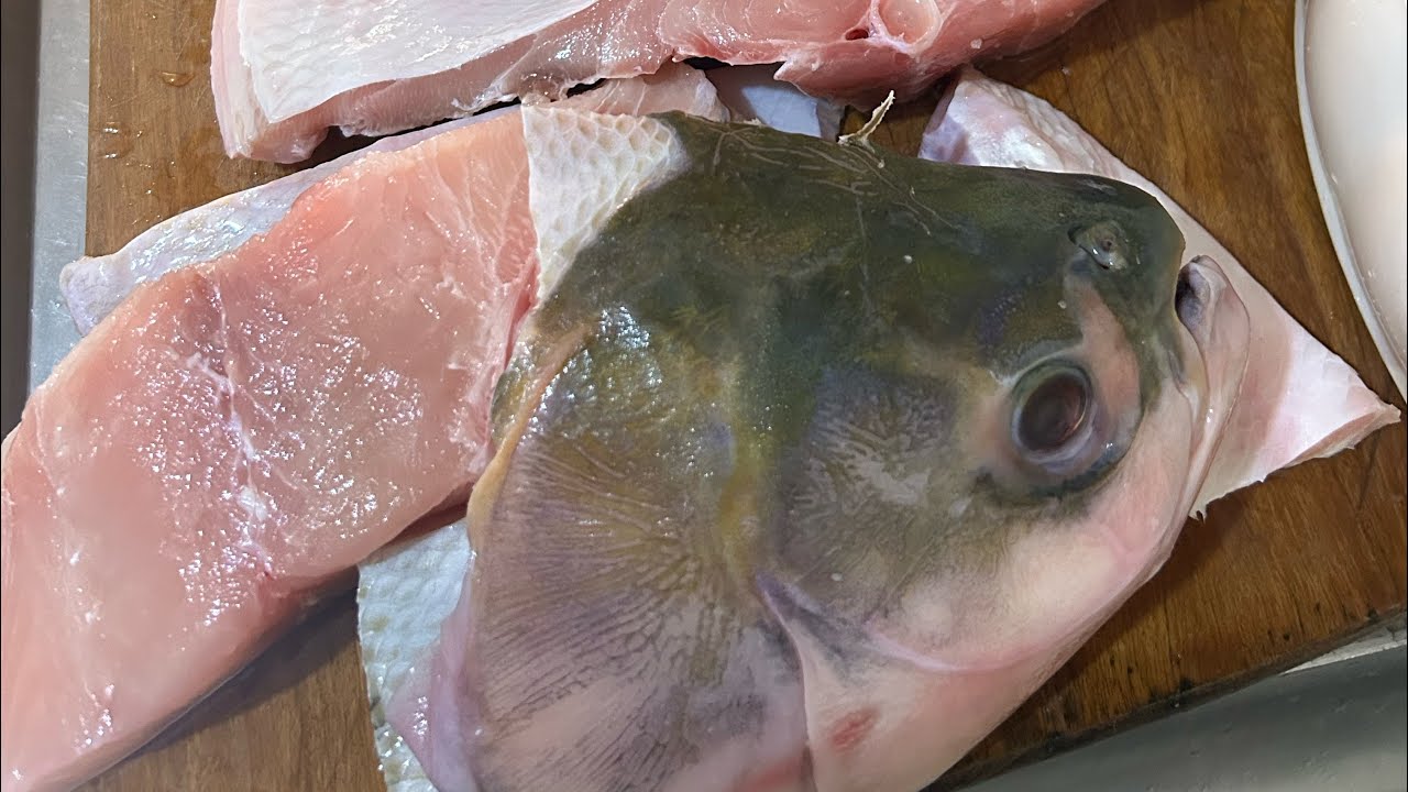 Peixe cozido 😋