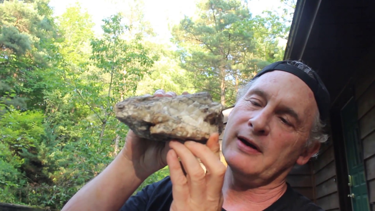 WHAT'S INSIDE - DISSOLVING CALCITE IN SEARCH OF PYRITE
