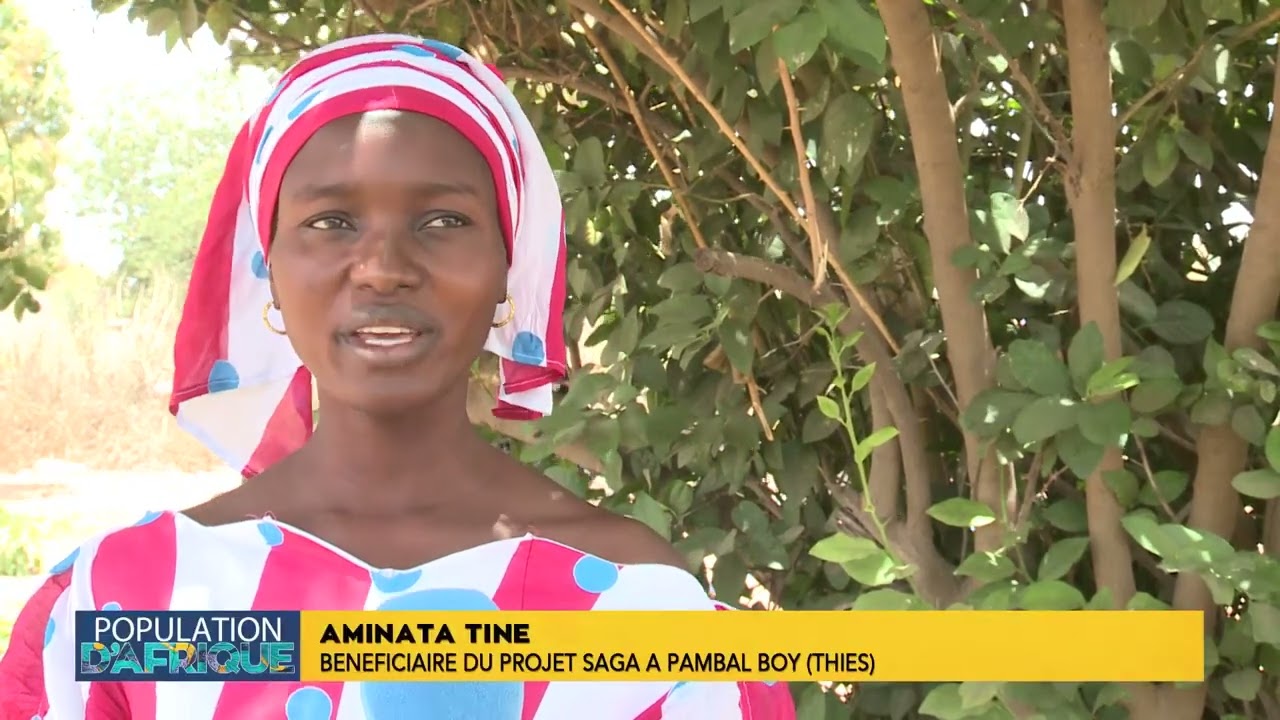 Renforcer l'adaptation du secteur agricole aux changements climatiques au Sénégal - partie 1