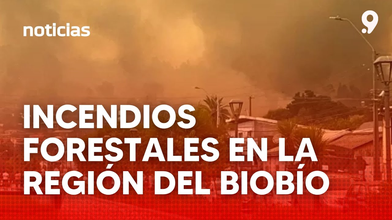 🔴 EN VIVO | Noticias Mediodía | Canal 9 BíoBíoTV 💻