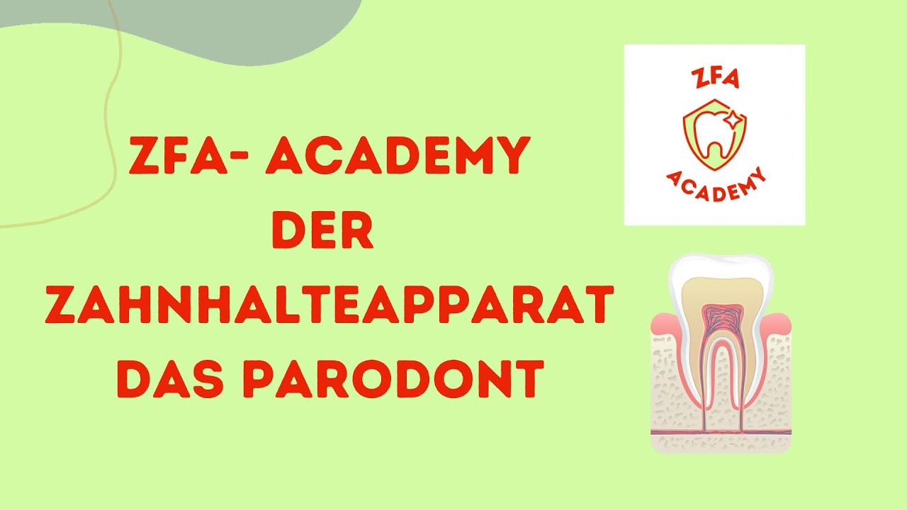 ZFA- ACADEMY Aufbau des Zahnhalteapparates PARODONT