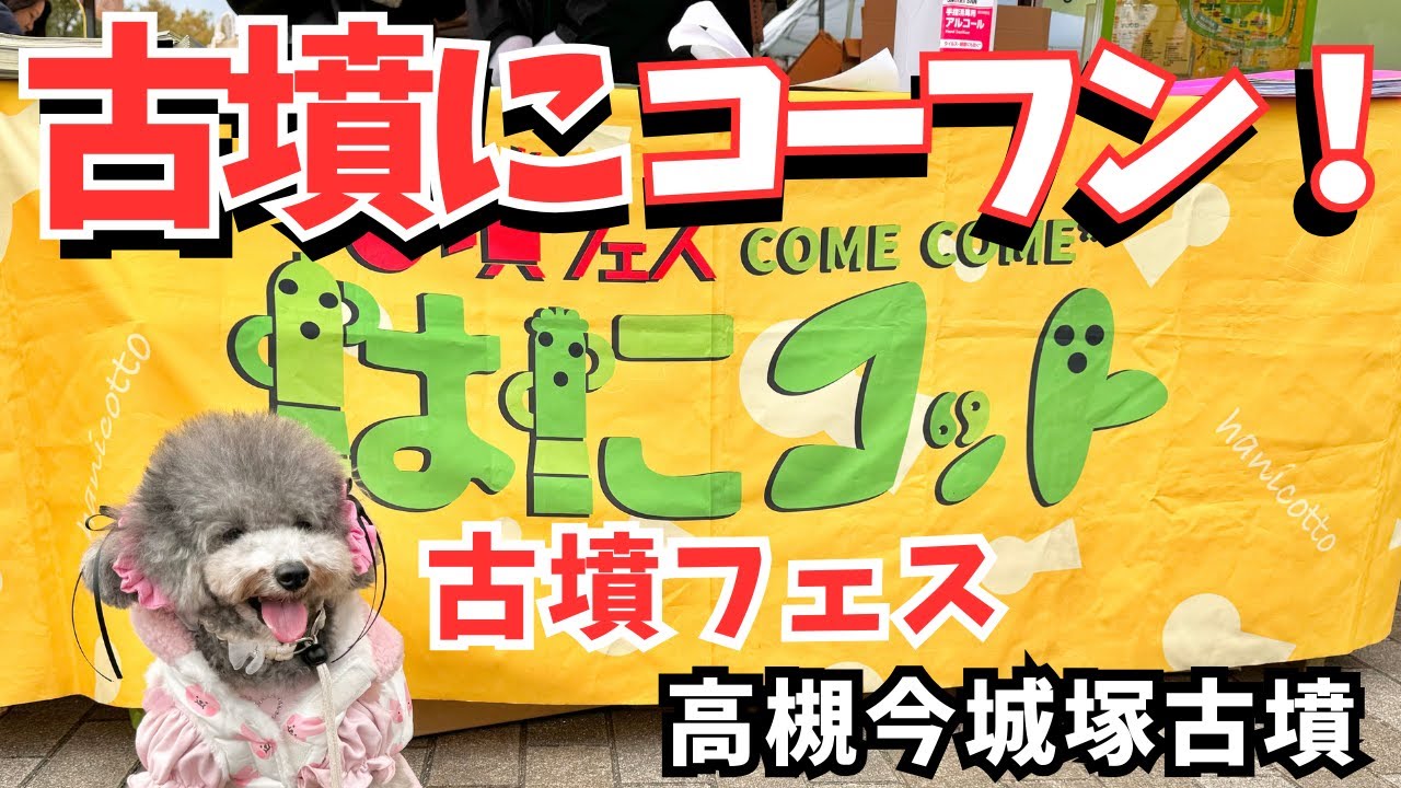 【絶叫】奇祭！世界初で最大級の古墳フェスで愛犬と初めての体験に大興奮💦ゆるキャラも！高槻 今城塚古墳