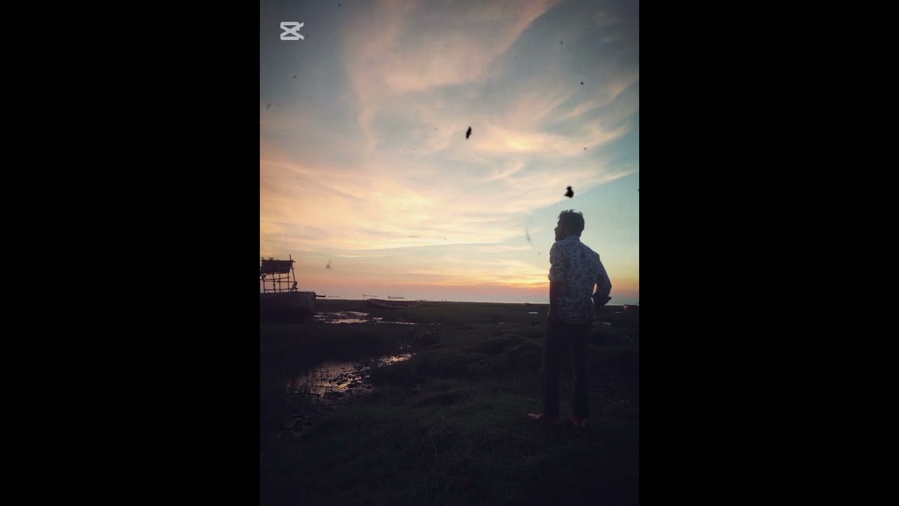  তোমাকে আামার একটা চিঠি লিখতে ইচ্ছে করে 🎋🧾