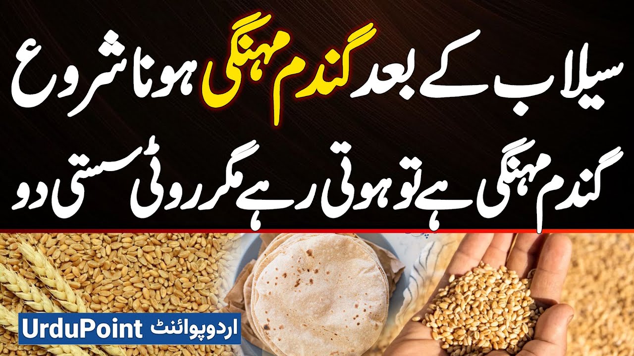 Wheat Prices Surge After Floods - Gandum Mehangi Ha to Hoti Rahe Roti Sasti Do, Tandoor Wale Preshan