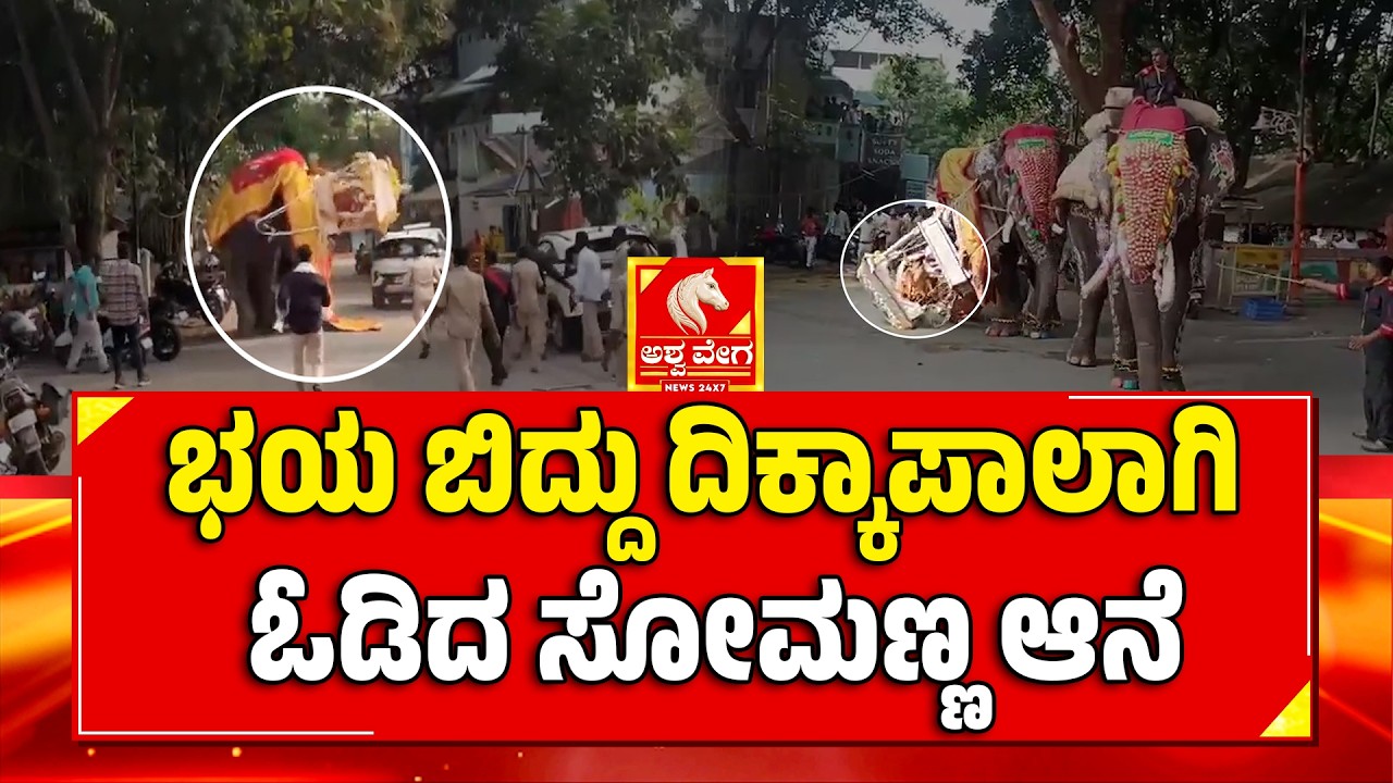 Somanna Elephant Runs Away During Dasara Celebrations | ಭಯ ಬಿದ್ದು ದಿಕ್ಕಾಪಾಲಾಗಿ ಓಡಿದ ಸೋಮಣ್ಣ ಆನೆ